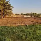 للبيع مزرعه بالرايسية في عنيزه