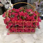 منسق زهور يبحث عن عمل