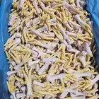 أرجل دجاج صفراء للتصدير