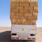 تبن بر شد شركه الدفع عند الاستلام