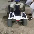 القرين شمال الرس