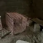 بيوت كلاب وقطط وحمام وارانب