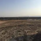 ارض زراعيه في ابيار الماشي للبيع