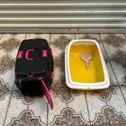 قطط