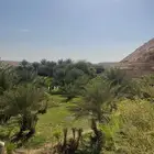 مزرعة للبيع في حي الحائر