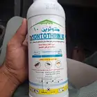 مبيض حشري