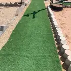 فراشة زراعية موكت