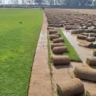 للتوصيل نجيله خضراء