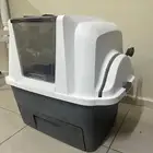 حمام قطط