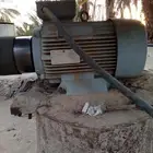 دينمو اباغانم ايطالي شرط شغال والا انفك