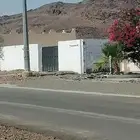 اثاث