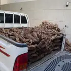 حطب ارطى غمارتين