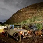 شاص 1982 نظيف