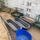 معالف اغنام