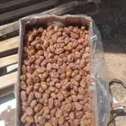 تمور اخلاص فله فاخر جوده عاليه