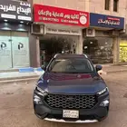 فورد تيرتوري