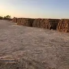 ذرة جيزانيه ناعمة