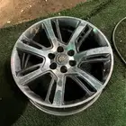 جنوط سكالند للبيع