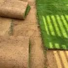 صيانة حدائق