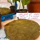 بخور حساوي معتق شغل بيت