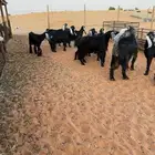 10 عوارض