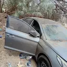سوناتا 2017