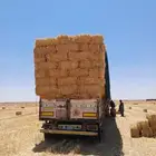 تبن بر شدطيب الدفع عند الوصول