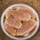 عسل سدر1447 ه وطلح وسمر