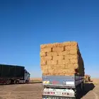 تبن بر شد طيب الدفع عند الوصول 2025