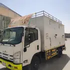 دينا ايسوزو
