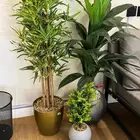 للبيع مكيف ماندو 24 بلس وستاير وباركيه