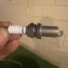 بواجي جيلي