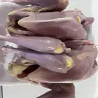 ديكه مذبوح جاهز