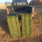 برسيم صافي شد شركة