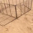شبك غنم