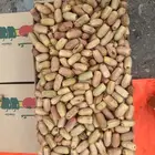 تمر متلبن حبه طيبه تمر نطيف خالي من الحشف
