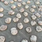 علف حلال
