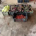 مطأطيس صغيره وكبير بادنجان مقدوس