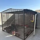 الاحساء  الهفوف