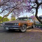 كابريس 1986 كلاسيك للبيع
