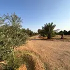 للبيع مزرعه بالشملي