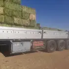 برسيم صافي شد جوندير