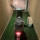 دباب بطة شغال سلف وكالة