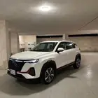 شانجان2023cs35