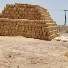 تبن قمح جديد للبيع