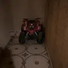 دباب رام للبيع