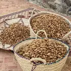 لوز الباحة البلدي