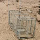 مصيده للبيع