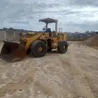 شيول زاهد للبيع