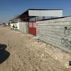حوش اغنام في سوق الدمام للتقبيل